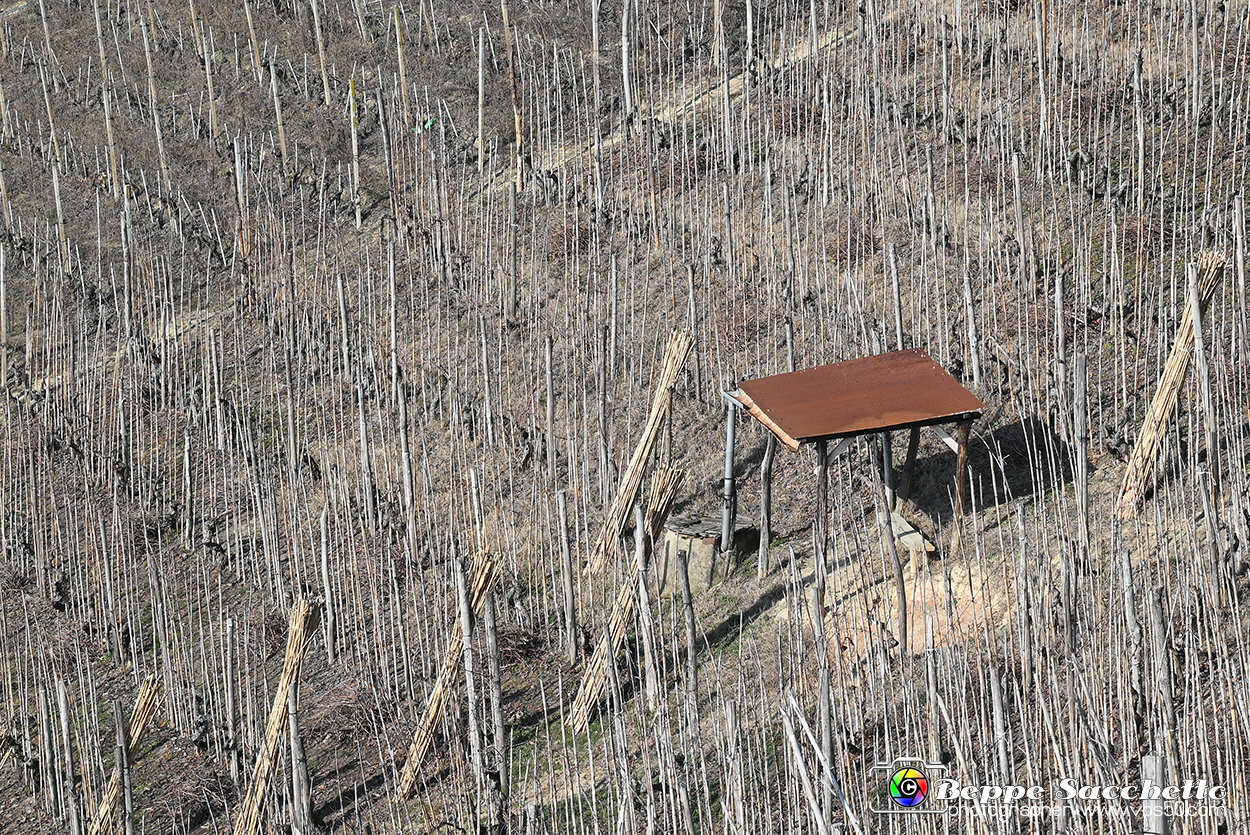 VBS_1141 - Santo Stefano Roero.jpg